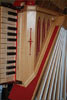 organetto